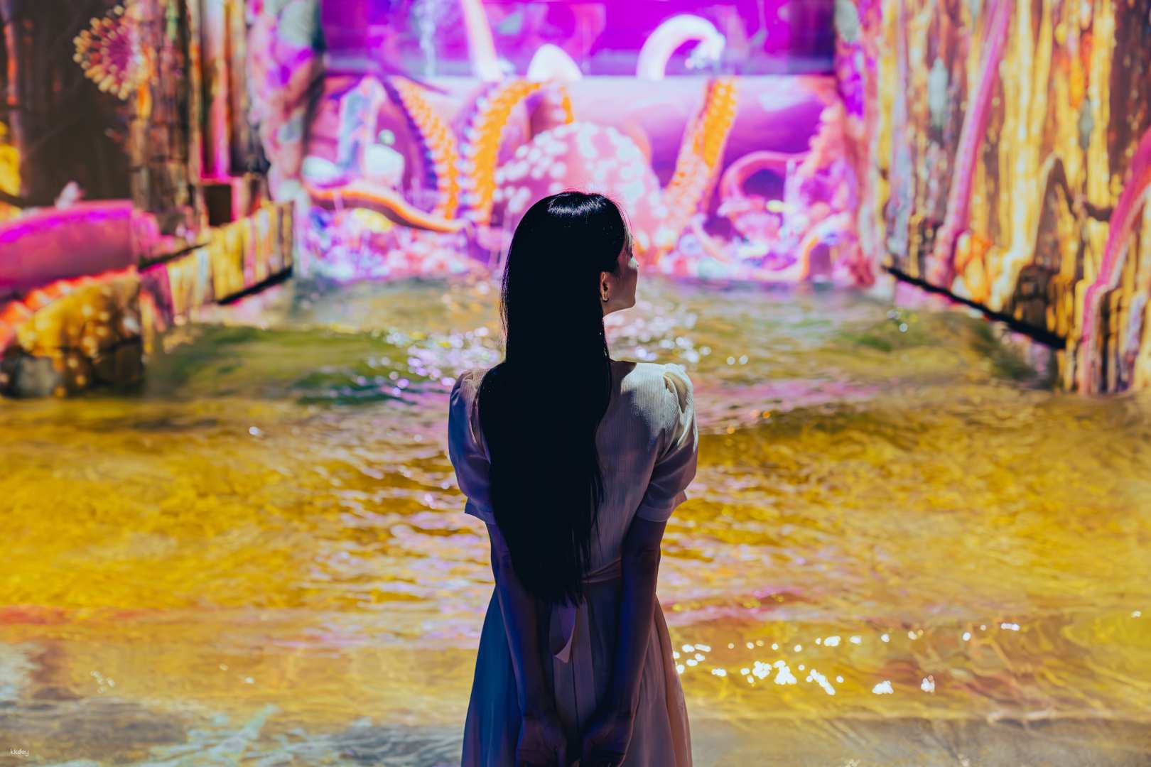 Waterworld Jeju | Water Media Art & Park - Photo 1 of 4